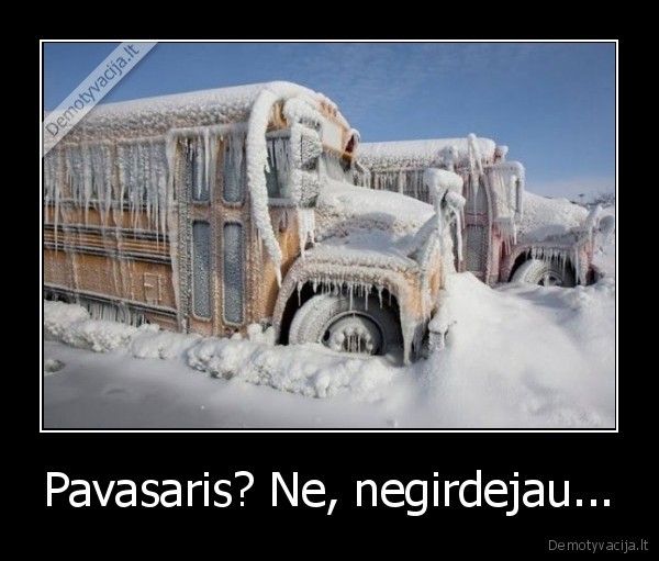 Pavasaris? Ne, negirdejau...