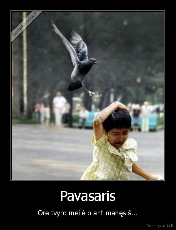 Pavasaris