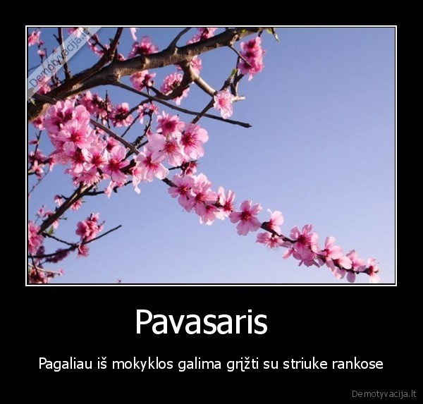 Pavasaris  