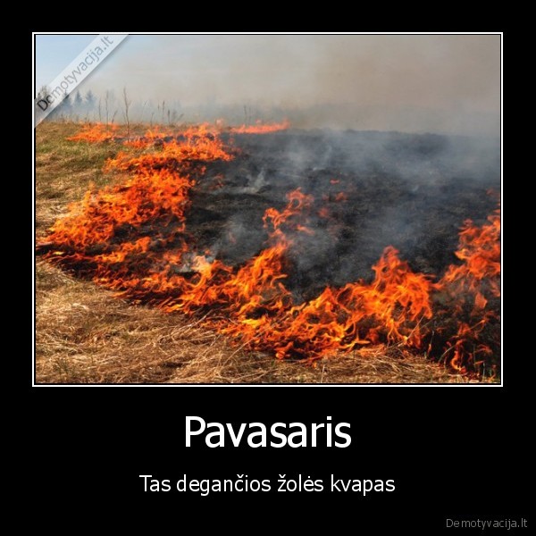 pavasaris