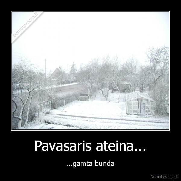 Pavasaris ateina...