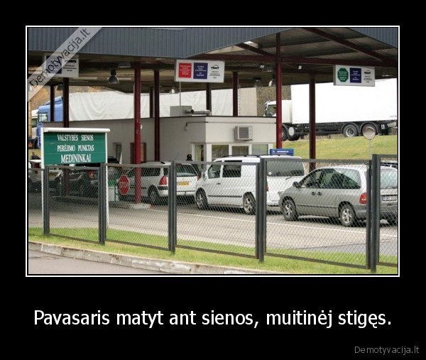 Pavasaris matyt ant sienos, muitinėj stigęs.