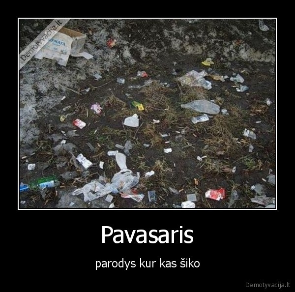 Pavasaris