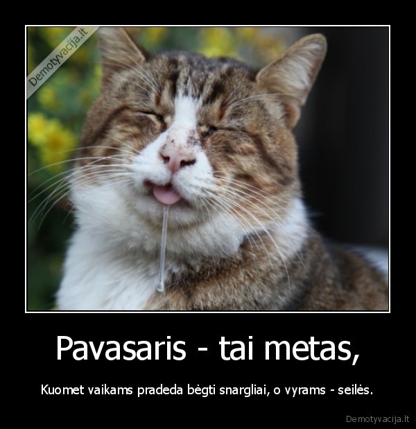 Pavasaris - tai metas,