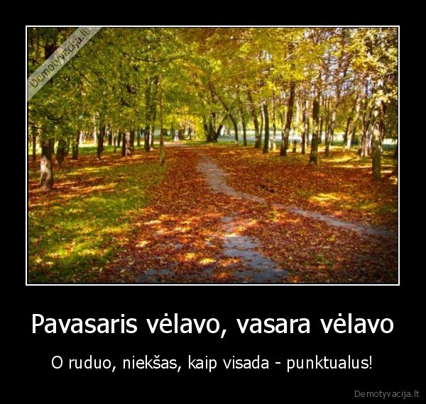 pavasaris,vasara,ruduo