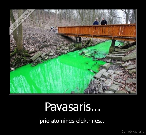 Pavasaris...