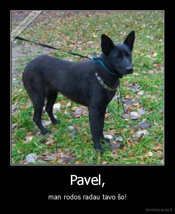 Pavel,