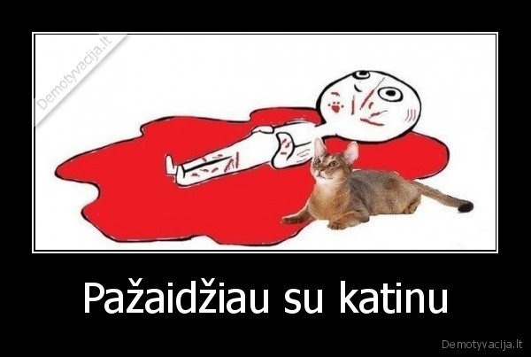 Pažaidžiau su katinu