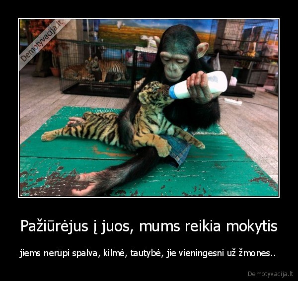 Pažiūrėjus į juos, mums reikia mokytis