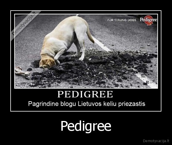 Pedigree