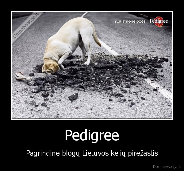 Pedigree