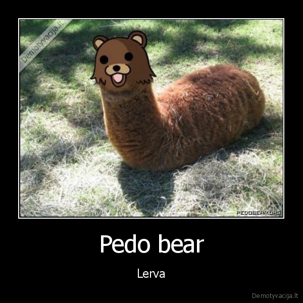 Pedo bear