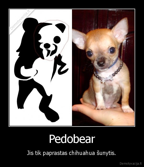 pedobear, apsimetineja, jis, yra, chihuahua