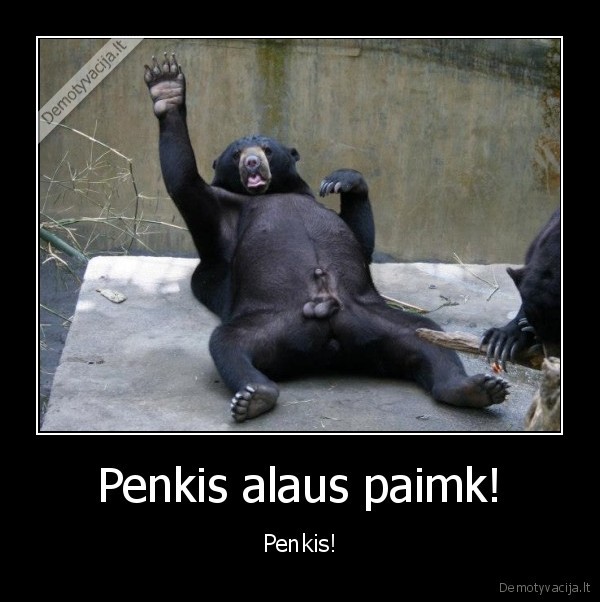 Penkis alaus paimk!