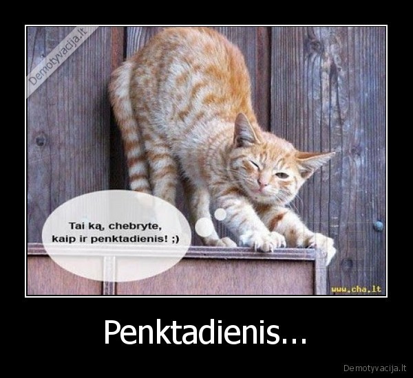 Penktadienis...