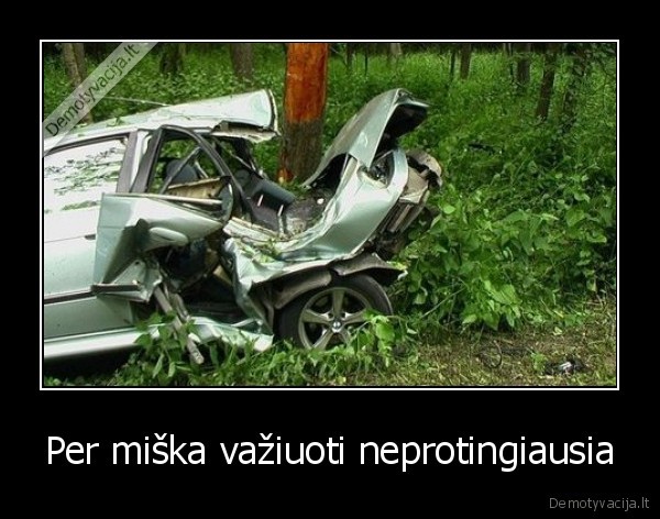 Per miška važiuoti neprotingiausia