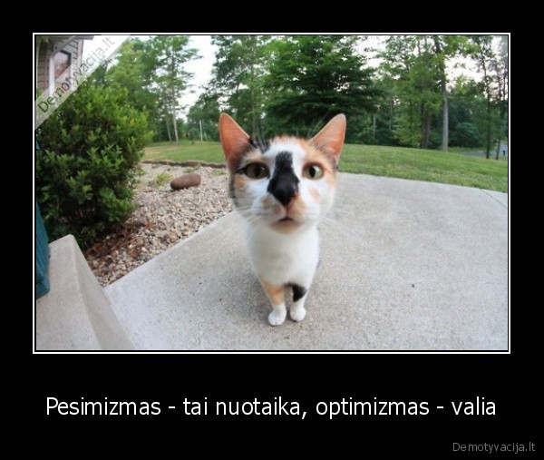 Pesimizmas - tai nuotaika, optimizmas - valia