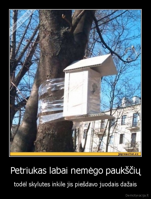 pauksciai,piesti