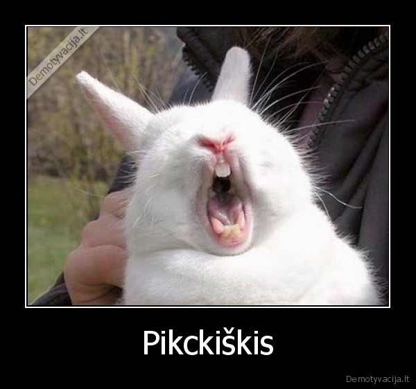 Pikckiškis