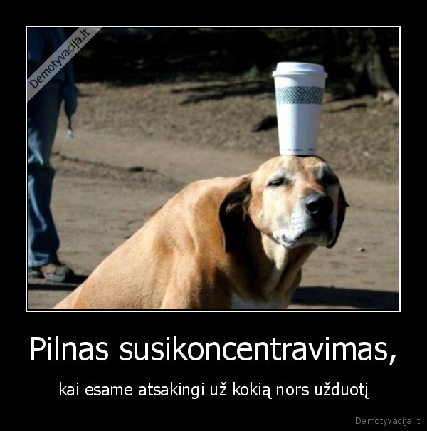 Pilnas susikoncentravimas,