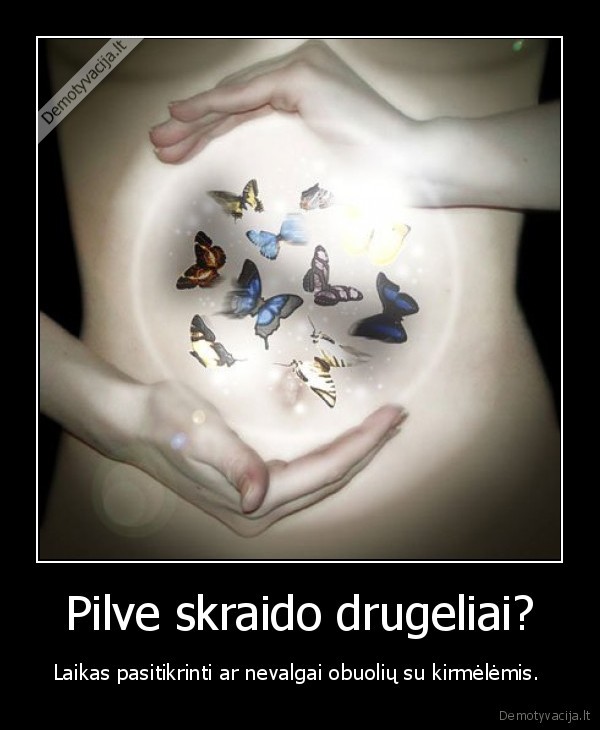 Pilve skraido drugeliai?