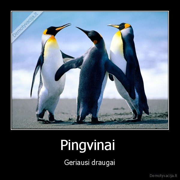 Pingvinai 