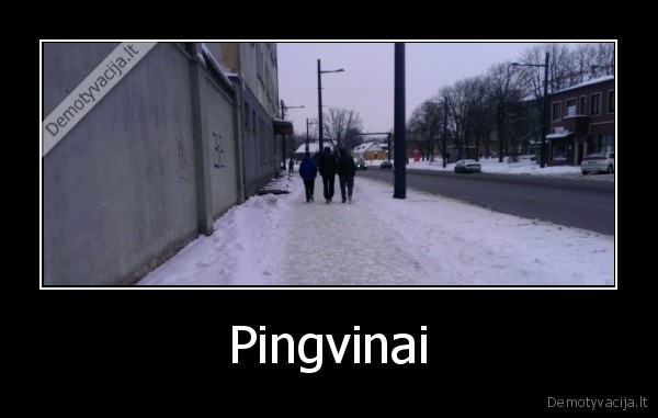 Pingvinai