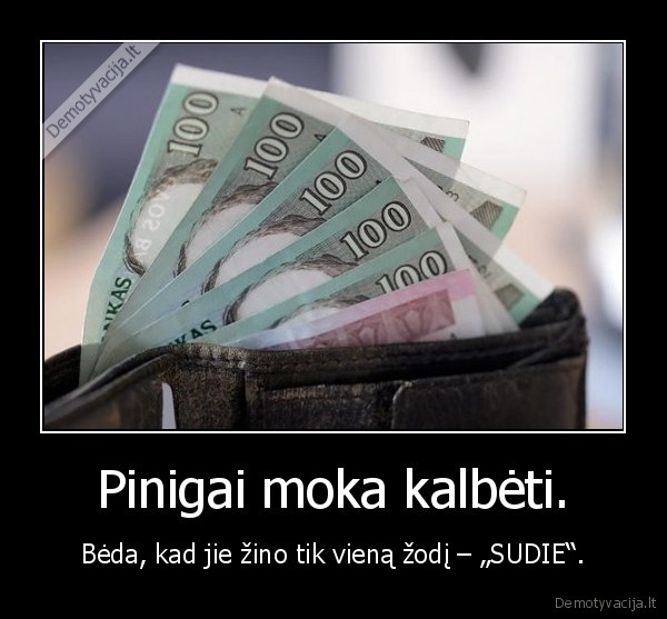 pinigai,sudie