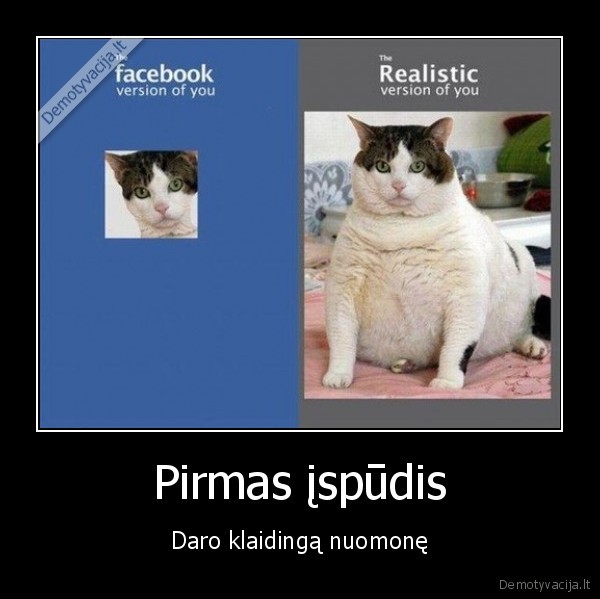 facebook,katinas,storas,realybe