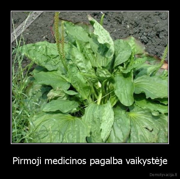 Pirmoji medicinos pagalba vaikystėje