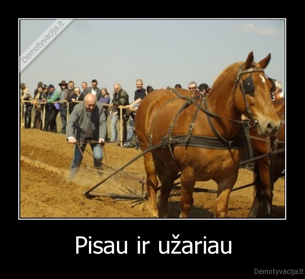 Pisau ir užariau