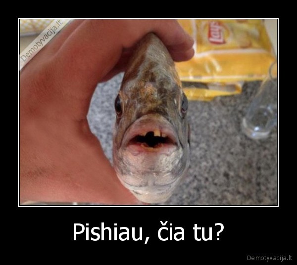 Pishiau, čia tu?