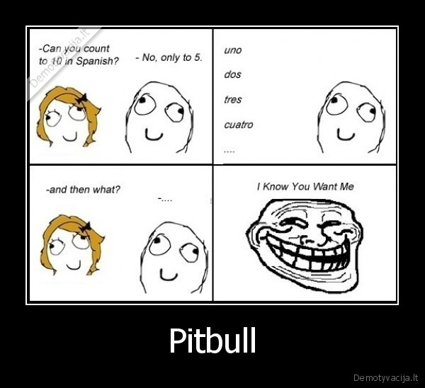 Pitbull