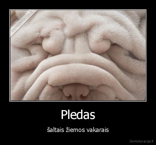 Pledas