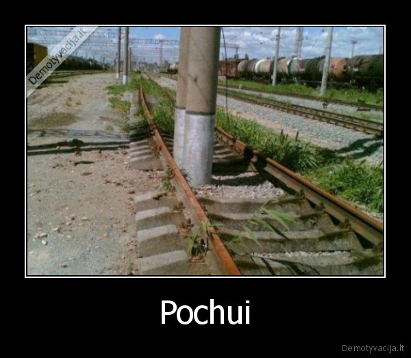 Pochui