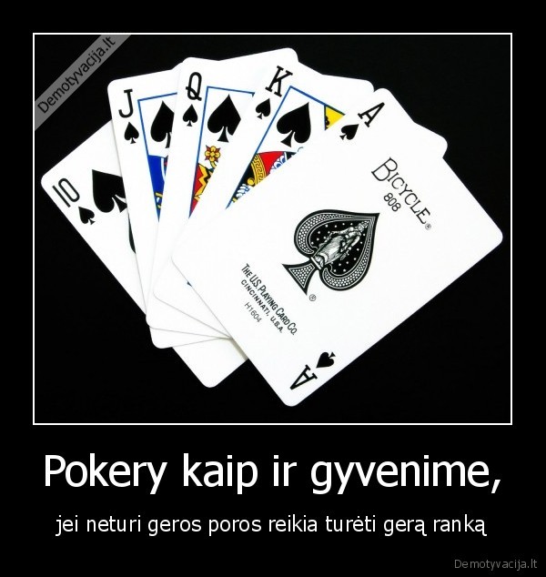 pokeris,fap, fap,pora,ir, kitas, suds