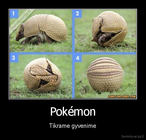 pokemonai, realiame, gyvenime