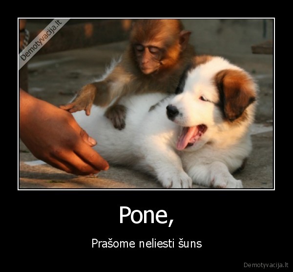 pone,prasom,neliesti,suns