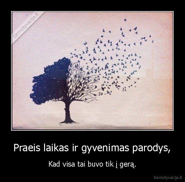 Praeis laikas ir gyvenimas parodys,