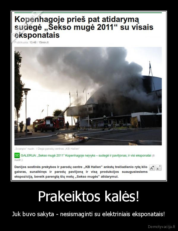 Prakeiktos kalės!