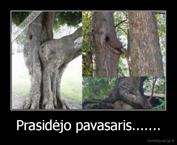 Prasidėjo pavasaris.......