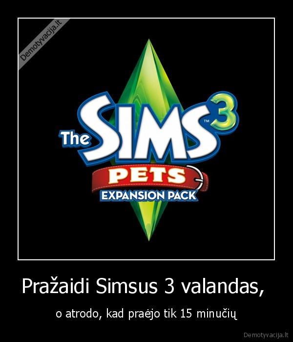 Pražaidi Simsus 3 valandas, 