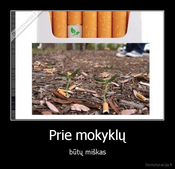 mokykla,rukyti,cigaretes