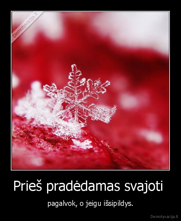 Prieš pradėdamas svajoti 