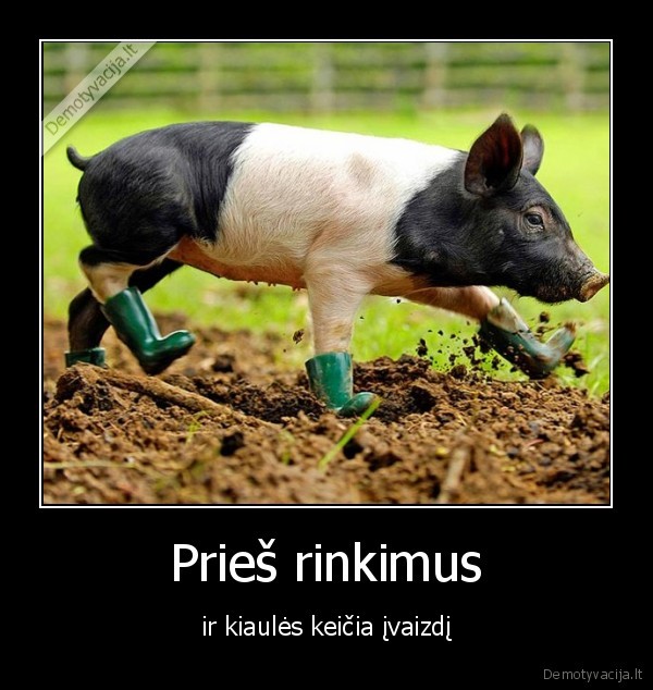 Prieš rinkimus