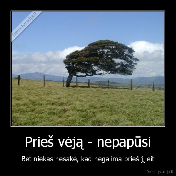 Prieš vėją - nepapūsi