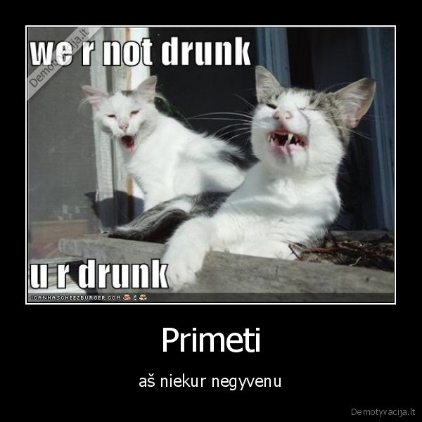 lol, catz, drinken, shnapss