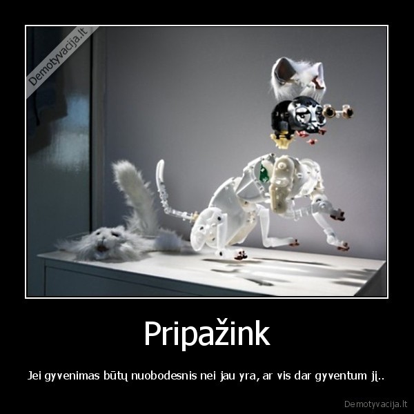 Pripažink