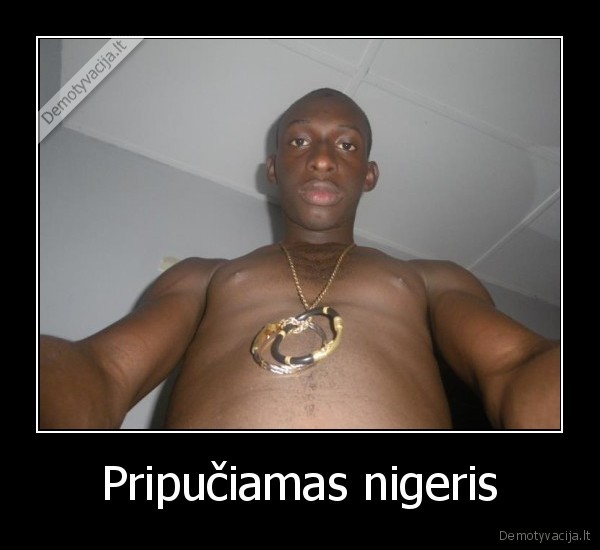 Pripučiamas nigeris