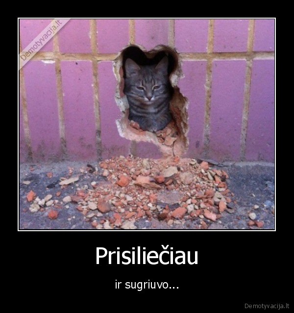 Prisiliečiau